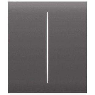 Ajax CenterButton (2-gang) grey для двухклавишного выключателя Кнопка центральная 99-10028912 фото