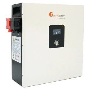 FelicityESS LPBF24200-A 24В 200А&bull;год Літієва акумуляторна батарея 99-10033890 фото