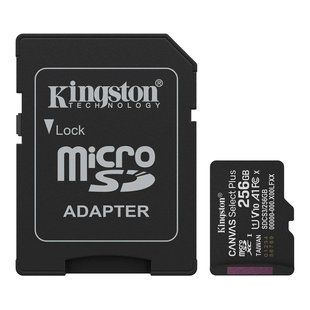 Kingston microSD 256GB C10 UHS-I A1 V10 R150MB/s + SD Карта памяти 99-10028161 фото